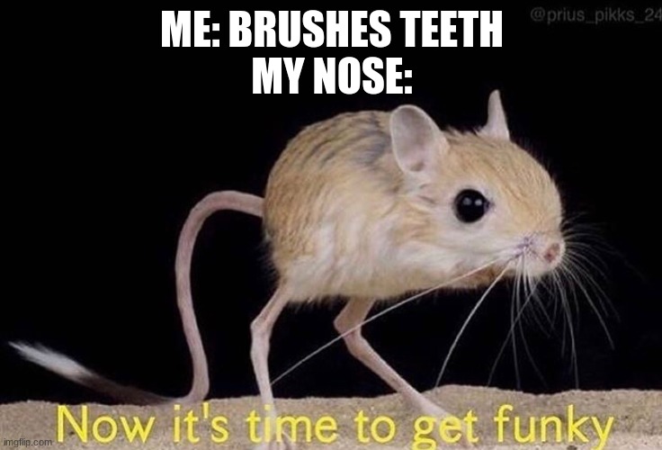 Now it’s time to get funky | ME: BRUSHES TEETH
MY NOSE: | image tagged in now its time to get funky | made w/ Imgflip meme maker