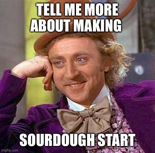 Creepy Condescending Wonka | TELL ME MORE ABOUT MAKING; SOURDOUGH STARTER | image tagged in memes,creepy condescending wonka | made w/ Imgflip meme maker