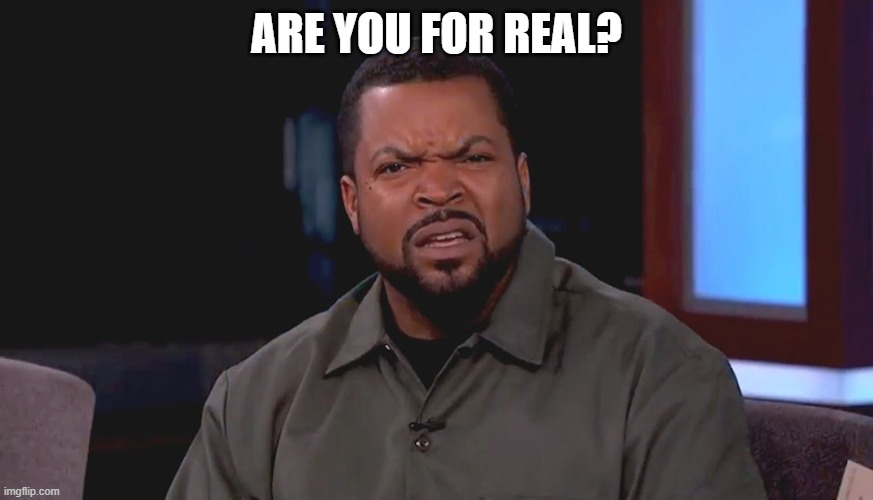 Really? Ice Cube | ARE YOU FOR REAL? | image tagged in really ice cube | made w/ Imgflip meme maker