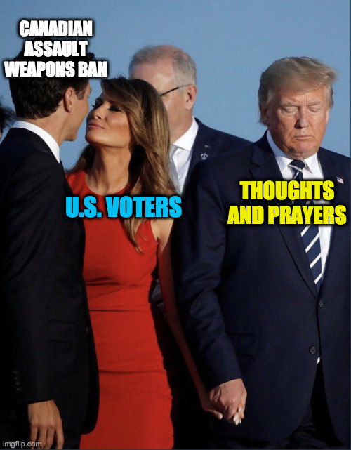 Melania Trudeau | CANADIAN ASSAULT WEAPONS BAN; THOUGHTS AND PRAYERS; U.S. VOTERS | image tagged in melania trudeau | made w/ Imgflip meme maker