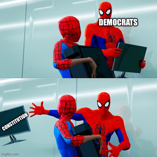 Spider-man monitor | DEMOCRATS CONSTITUTION | image tagged in spider-man monitor | made w/ Imgflip meme maker