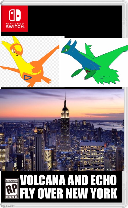 They just want to get a good view of the city | VOLCANA AND ECHO FLY OVER NEW YORK | image tagged in nintendo switch cartridge case | made w/ Imgflip meme maker