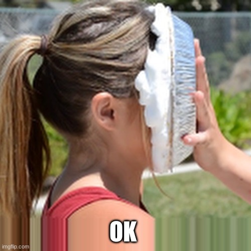 Memes, Pie In Face | OK | image tagged in memes pie in face | made w/ Imgflip meme maker