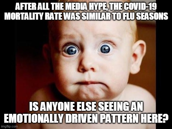 Corona Covid | AFTER ALL THE MEDIA HYPE, THE COVID-19 MORTALITY RATE WAS SIMILAR TO FLU SEASONS; IS ANYONE ELSE SEEING AN EMOTIONALLY DRIVEN PATTERN HERE? | image tagged in flu | made w/ Imgflip meme maker