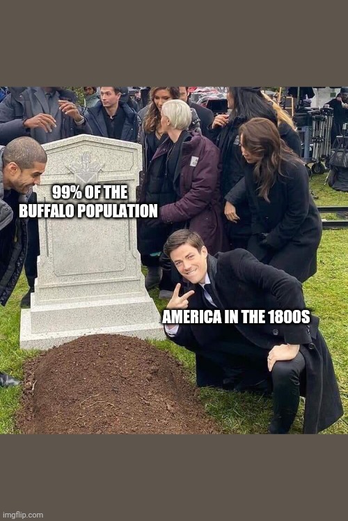 Guy posing in front of grave | 99% OF THE BUFFALO POPULATION; AMERICA IN THE 1800S | image tagged in guy posing in front of grave,HistoryMemes | made w/ Imgflip meme maker