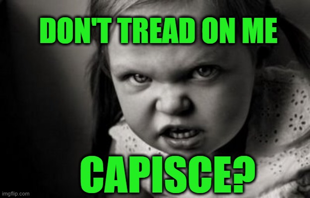 Attn: All Petty Tyrant Governors | DON'T TREAD ON ME; CAPISCE? | image tagged in alice malice | made w/ Imgflip meme maker