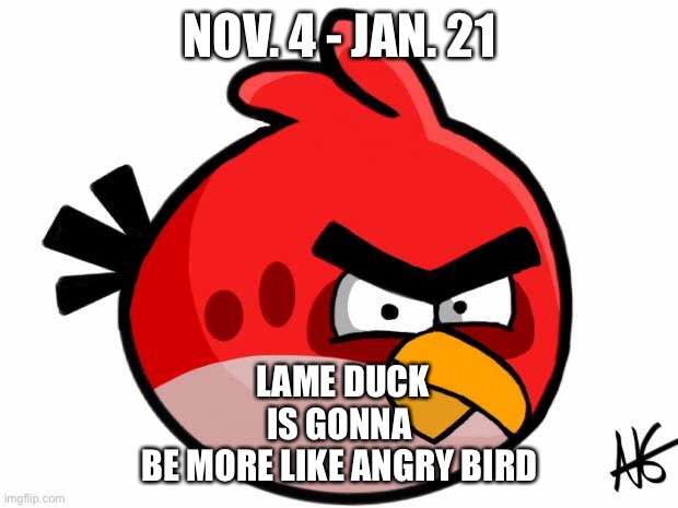 Angry Bird | NOV. 4 - JAN. 21; LAME DUCK IS GONNA
BE MORE LIKE ANGRY BIRD | image tagged in angry bird | made w/ Imgflip meme maker