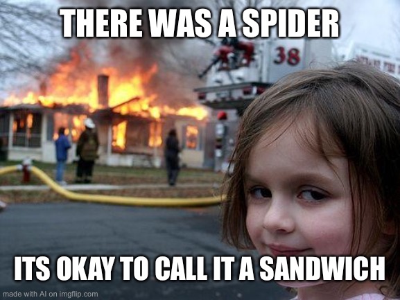 Spider Sandwich | THERE WAS A SPIDER; ITS OKAY TO CALL IT A SANDWICH | image tagged in memes,disaster girl | made w/ Imgflip meme maker