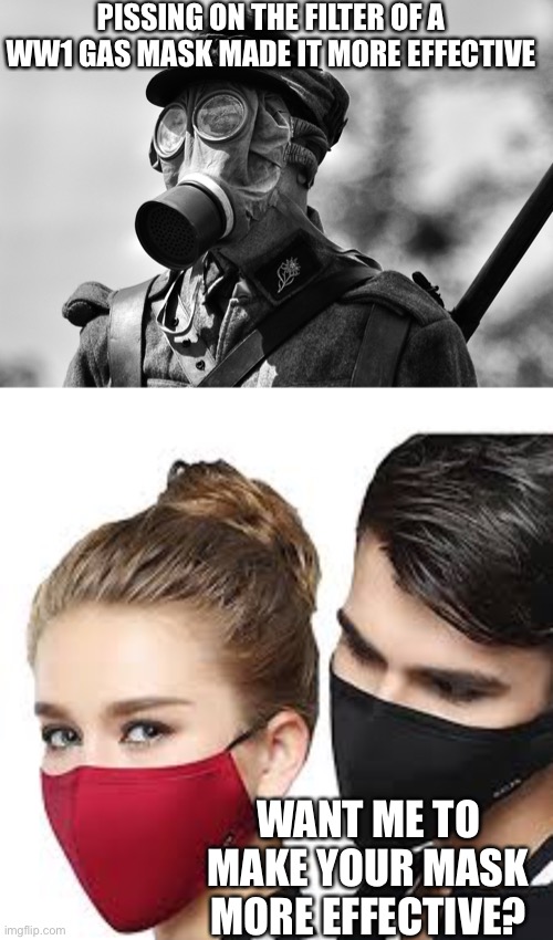 Make your masks more effective! | PISSING ON THE FILTER OF A WW1 GAS MASK MADE IT MORE EFFECTIVE; WANT ME TO MAKE YOUR MASK MORE EFFECTIVE? | image tagged in ww1 gas mask,mask couple,covid-19,face mask,memes | made w/ Imgflip meme maker