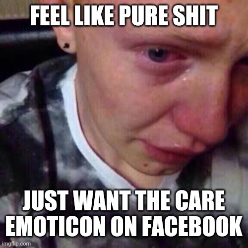 Anyone else not get the Care react on Facebook? | FEEL LIKE PURE SHIT; JUST WANT THE CARE EMOTICON ON FACEBOOK | image tagged in feel like pure shit,facebook,sad | made w/ Imgflip meme maker