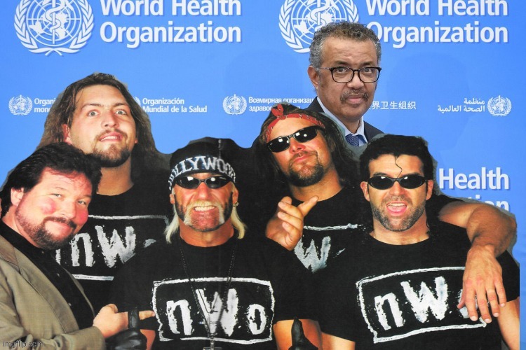 Picture Proof Of W.H.O Being Apart Of The New World Order | image tagged in nwo police state,nwo,political meme,socialism,communism,democrats | made w/ Imgflip meme maker
