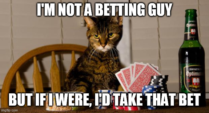 Poker Cat | I'M NOT A BETTING GUY BUT IF I WERE, I'D TAKE THAT BET | image tagged in poker cat | made w/ Imgflip meme maker