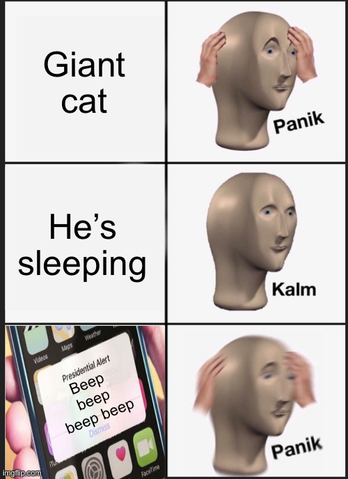 Panik Kalm Panik Meme | Giant cat He’s sleeping Beep beep beep beep | image tagged in memes,panik kalm panik | made w/ Imgflip meme maker