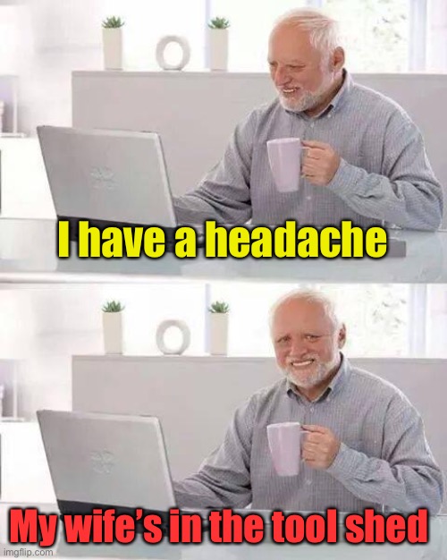 Hide the Pain Harold Meme | I have a headache My wife’s in the tool shed | image tagged in memes,hide the pain harold | made w/ Imgflip meme maker