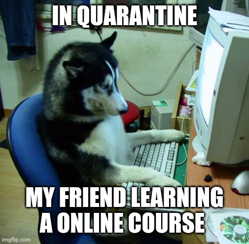 I Have No Idea What I Am Doing | IN QUARANTINE; MY FRIEND LEARNING A ONLINE COURSE | image tagged in memes,i have no idea what i am doing | made w/ Imgflip meme maker