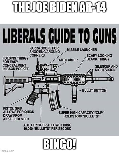 The Joe Biden Guide To Guns | THE JOE BIDEN AR-14; BINGO! | image tagged in adrico scavdava | made w/ Imgflip meme maker