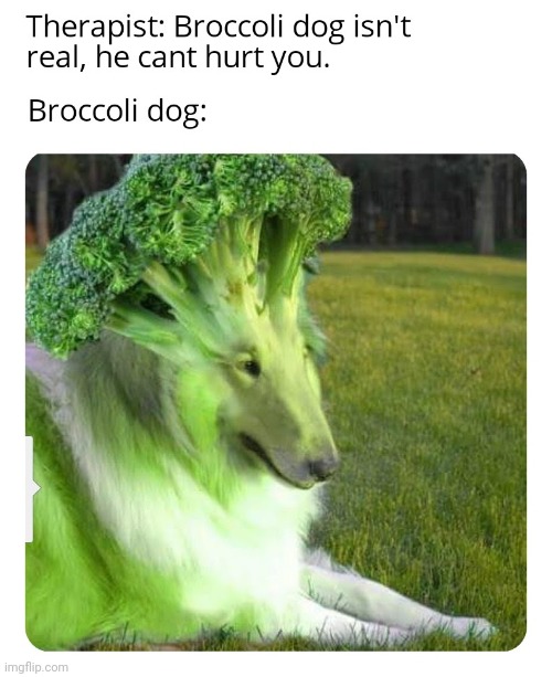image tagged in broccoli,dog,memes,funny | made w/ Imgflip meme maker