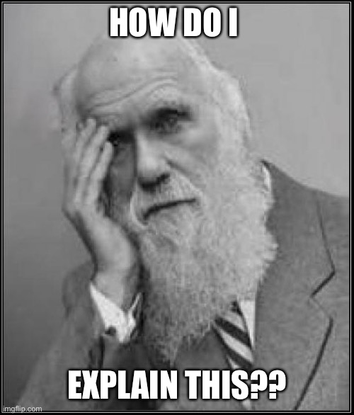 darwin facepalm | HOW DO I EXPLAIN THIS?? | image tagged in darwin facepalm | made w/ Imgflip meme maker