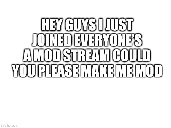 Mod | HEY GUYS I JUST JOINED EVERYONE’S A MOD STREAM COULD YOU PLEASE MAKE ME MOD | image tagged in blank white template | made w/ Imgflip meme maker