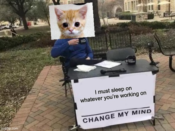 Change My Mind | I must sleep on whatever you’re working on | image tagged in memes,change my mind | made w/ Imgflip meme maker