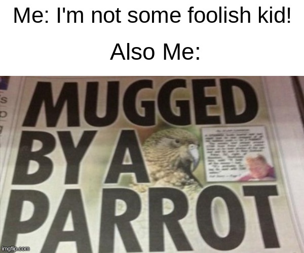 mugged by parrot | Me: I'm not some foolish kid! Also Me: | image tagged in funny memes | made w/ Imgflip meme maker