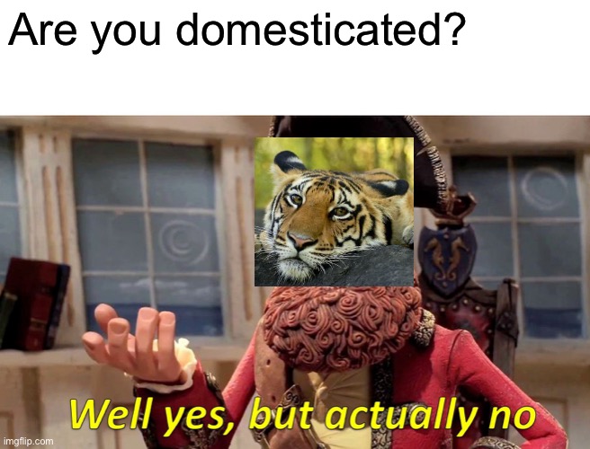 Well Yes, But Actually No | Are you domesticated? | image tagged in memes,well yes but actually no | made w/ Imgflip meme maker