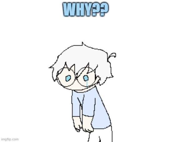 Why??? | WHY?? | image tagged in why,is a bit sad | made w/ Imgflip meme maker
