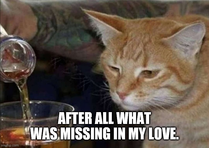 Me everytime I get drunk | AFTER ALL WHAT WAS MISSING IN MY LOVE. | image tagged in cat | made w/ Imgflip meme maker