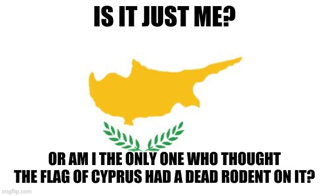 I legit thought this | IS IT JUST ME? OR AM I THE ONLY ONE WHO THOUGHT THE FLAG OF CYPRUS HAD A DEAD RODENT ON IT? | image tagged in cyprus,memes,dank memes,cyprus flag | made w/ Imgflip meme maker