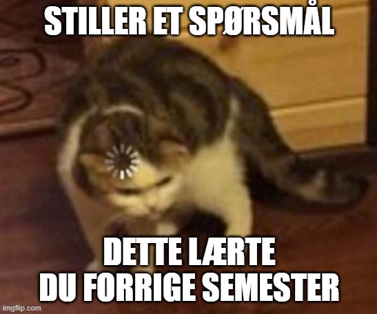 Loading cat | STILLER ET SPØRSMÅL; DETTE LÆRTE DU FORRIGE SEMESTER | image tagged in loading cat | made w/ Imgflip meme maker