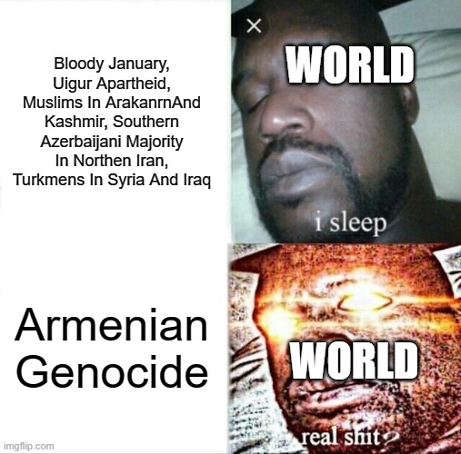 World In A Nutshell | Bloody January, Uigur Apartheid, Muslims In ArakanrnAnd Kashmir, Southern Azerbaijani Majority In Northen Iran, Turkmens In Syria And Iraq; WORLD; Armenian Genocide; WORLD | image tagged in memes,sleeping shaq | made w/ Imgflip meme maker