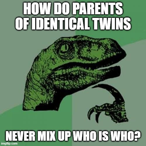 Philosoraptor Meme | HOW DO PARENTS OF IDENTICAL TWINS; NEVER MIX UP WHO IS WHO? | image tagged in memes,philosoraptor | made w/ Imgflip meme maker