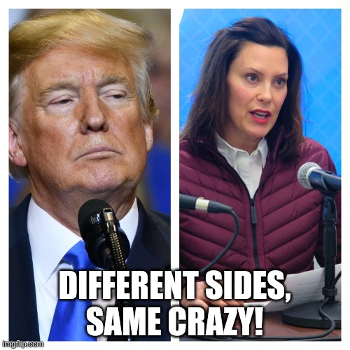 Trumpmore | DIFFERENT SIDES,
SAME CRAZY! | image tagged in trumpmore | made w/ Imgflip meme maker