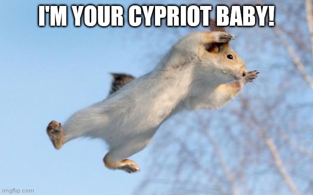flying squirrel | I'M YOUR CYPRIOT BABY! | image tagged in flying squirrel | made w/ Imgflip meme maker