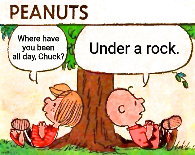 Peanuts Charlie Brown Peppermint Patty | Under a rock. Where have you been all day, Chuck? | image tagged in peanuts charlie brown peppermint patty | made w/ Imgflip meme maker