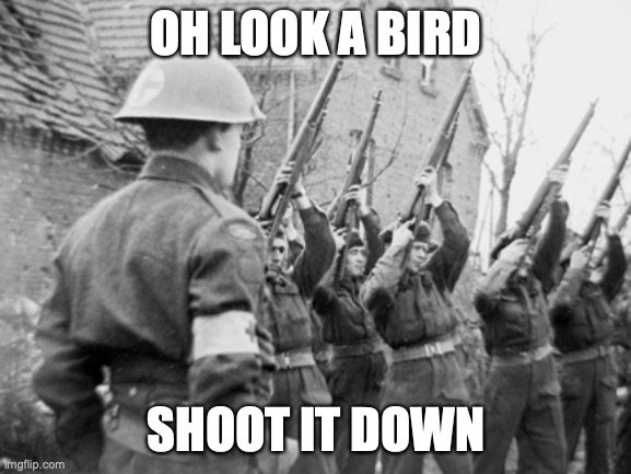 ww2 | OH LOOK A BIRD; SHOOT IT DOWN | image tagged in ww2 | made w/ Imgflip meme maker