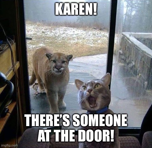 House Cat with Mountain Lion at the door | KAREN! THERE’S SOMEONE AT THE DOOR! | image tagged in house cat with mountain lion at the door | made w/ Imgflip meme maker