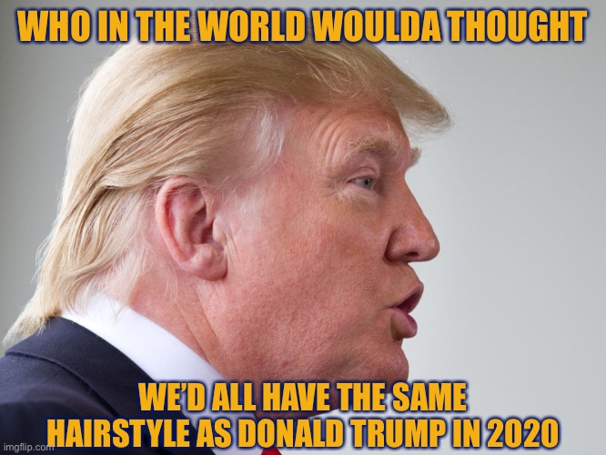 The Covid Mullet | WHO IN THE WORLD WOULDA THOUGHT; WE’D ALL HAVE THE SAME HAIRSTYLE AS DONALD TRUMP IN 2020 | image tagged in memes,funny,so true,covid-19,corona virus,quarantine | made w/ Imgflip meme maker