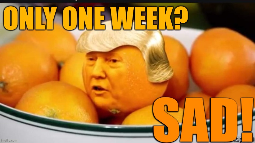 Orange cult icon week. Sad to hear they’ll be disappearing in a week. It’s the most telling thing they’ve done | ONLY ONE WEEK? SAD! | image tagged in orange trump,cult,trump,conservatives,imgflip trolls,imgflippers | made w/ Imgflip meme maker