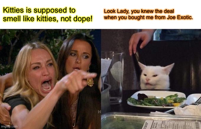 Woman Yelling At Cat Meme | Kitties is supposed to smell like kitties, not dope! Look Lady, you knew the deal when you bought me from Joe Exotic. | image tagged in memes,woman yelling at cat | made w/ Imgflip meme maker