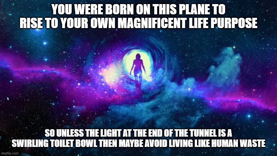 life purpose | YOU WERE BORN ON THIS PLANE TO RISE TO YOUR OWN MAGNIFICENT LIFE PURPOSE; SO UNLESS THE LIGHT AT THE END OF THE TUNNEL IS A SWIRLING TOILET BOWL THEN MAYBE AVOID LIVING LIKE HUMAN WASTE | image tagged in life,life lessons | made w/ Imgflip meme maker