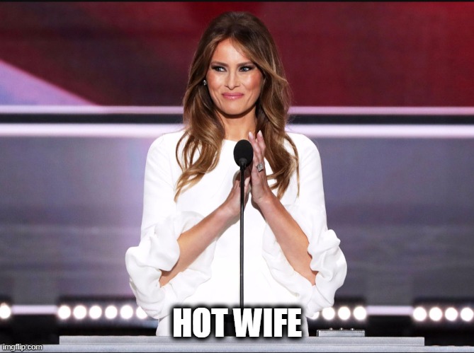 Melania trump meme | HOT WIFE | image tagged in melania trump meme | made w/ Imgflip meme maker