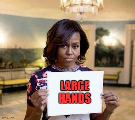 Michelle Obama blank sheet | LARGE HANDS | image tagged in michelle obama blank sheet | made w/ Imgflip meme maker