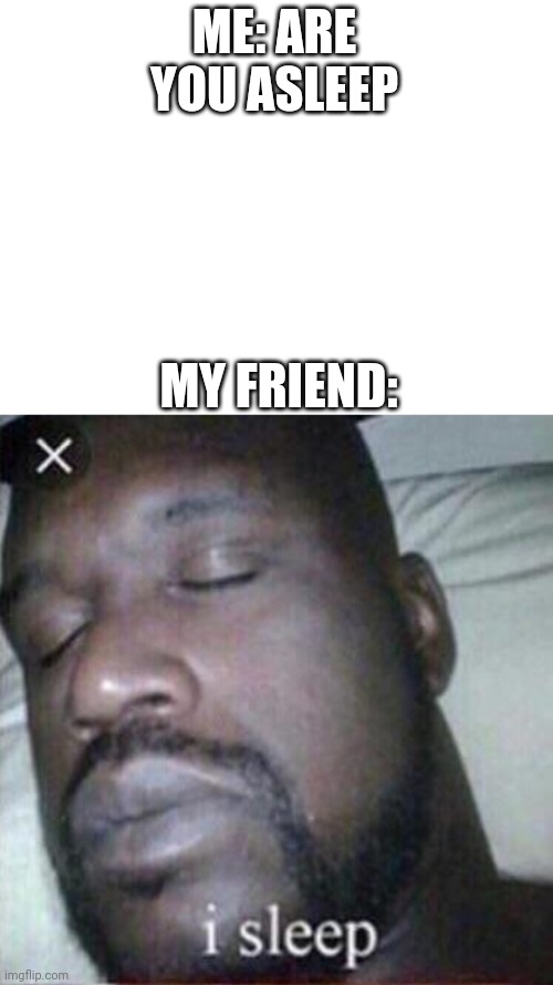ME: ARE YOU ASLEEP; MY FRIEND: image tagged in blank white template,i sleep...