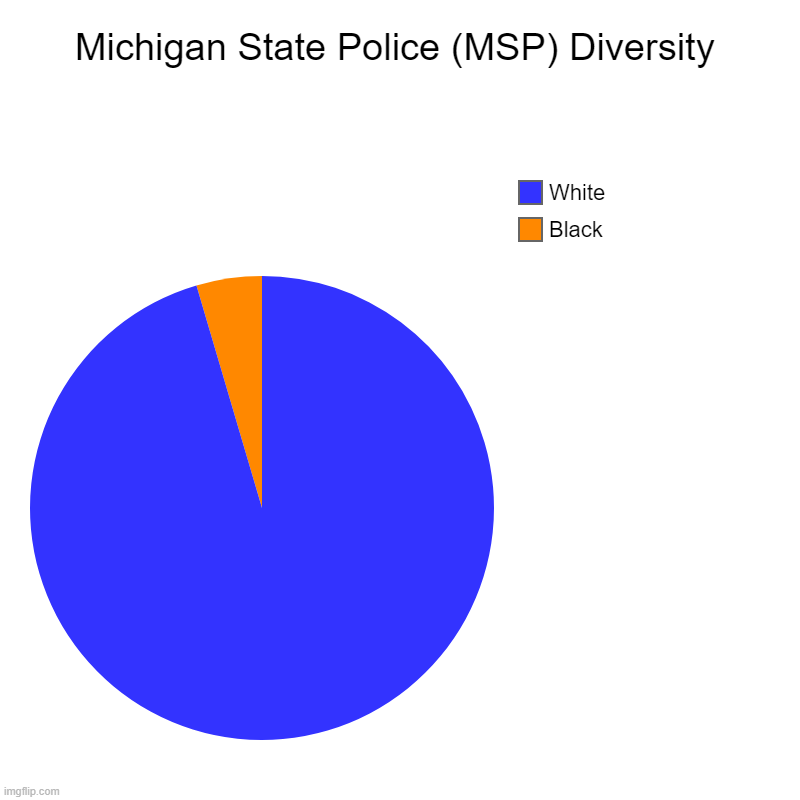 Michigan State Police (MSP) Diversity | Black, White | image tagged in charts,pie charts | made w/ Imgflip chart maker
