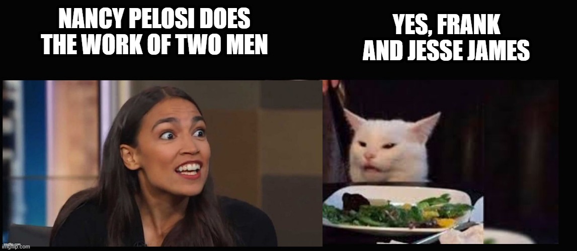 AOC and Cat | YES, FRANK AND JESSE JAMES; NANCY PELOSI DOES THE WORK OF TWO MEN | image tagged in smudge and aoc,work,nancy pelosi,pelosi,aoc | made w/ Imgflip meme maker