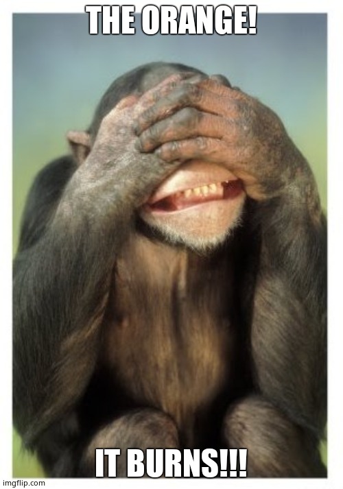 Monkey covers eyes | THE ORANGE! IT BURNS!!! | image tagged in monkey covers eyes | made w/ Imgflip meme maker