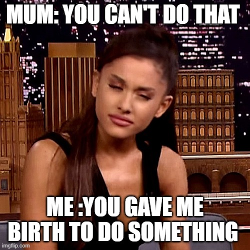 mum memes | MUM: YOU CAN'T DO THAT; ME :YOU GAVE ME BIRTH TO DO SOMETHING | image tagged in ariana grande | made w/ Imgflip meme maker