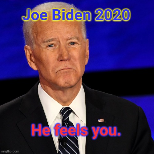 Joe Biden | Joe Biden 2020; He feels you. | image tagged in political | made w/ Imgflip meme maker