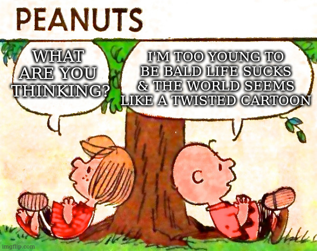 also i'm a round headed idiot |  I'M TOO YOUNG TO BE BALD LIFE SUCKS & THE WORLD SEEMS LIKE A TWISTED CARTOON; WHAT 
ARE YOU 
THINKING? | image tagged in peanuts charlie brown peppermint patty | made w/ Imgflip meme maker
